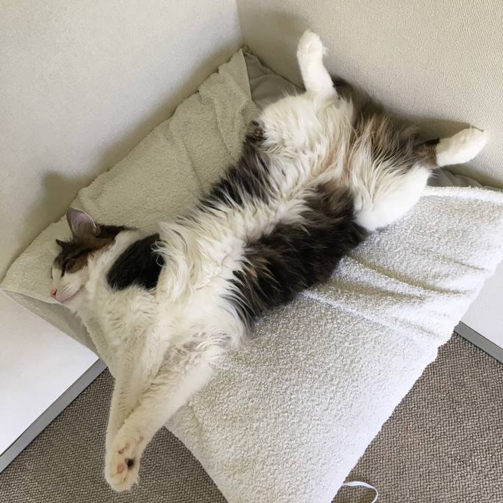 F61b0123 d4f7 4340 a1a3 ed88464e6e14