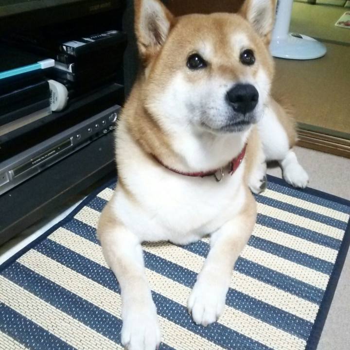 F61b0b8b 015c 46a4 9b82 e8c46f0dfda5