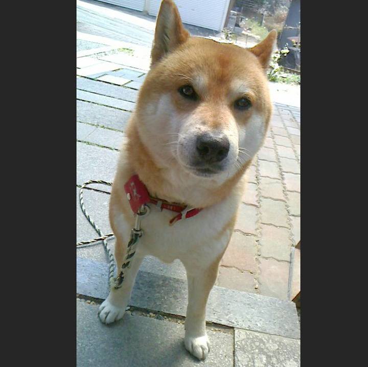 F61b7a35 bcdc 45e6 8729 e338a102d685