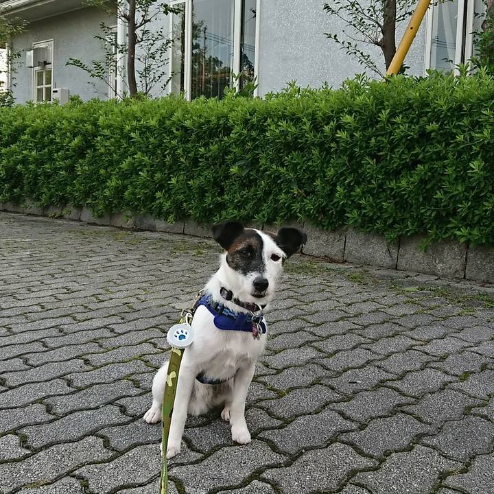 F61c1832 a21a 4706 a0f0 e7cf80e0cd18