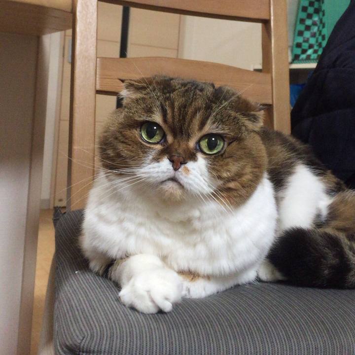 F61c2256 580d 4268 b37a 81f5126eb5c5