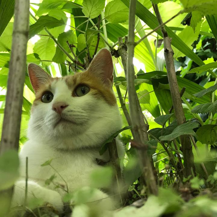 F61c84a1 7b22 4127 8b52 8a7a5ed51a08