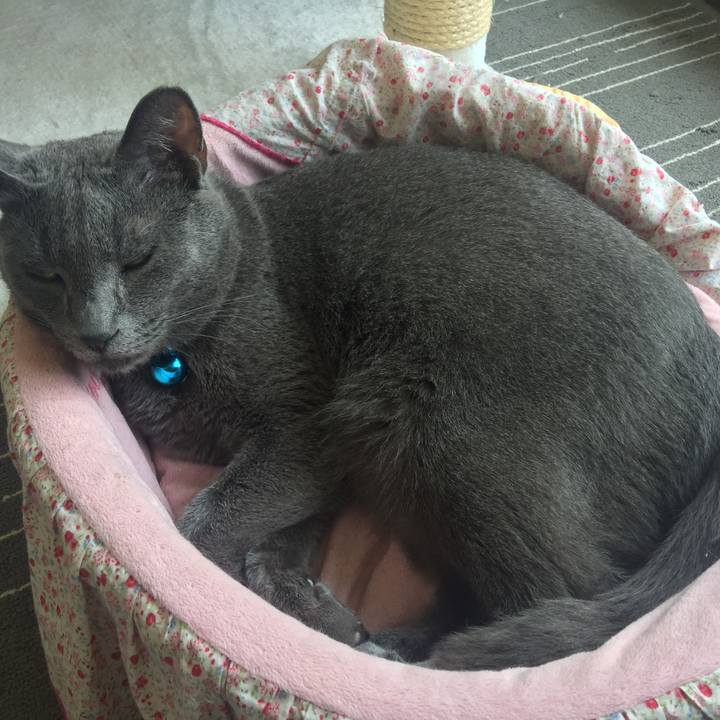 F61c8916 35e3 4915 9c58 c3e199c5696c