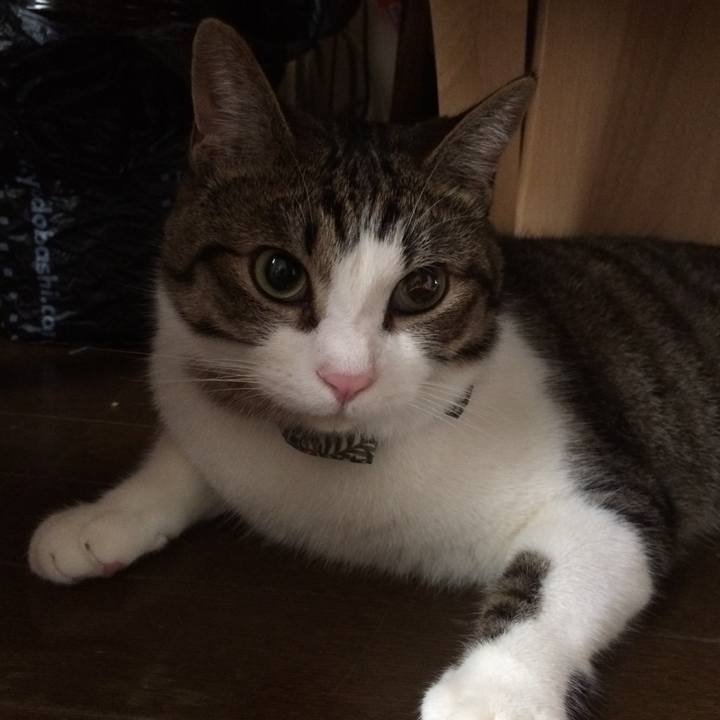 F61e58cc de3a 4492 9321 08a9ca6d3661