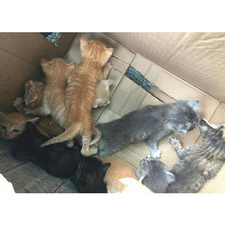 F61ed80e 3b0b 40b2 aa32 6352178a2e59