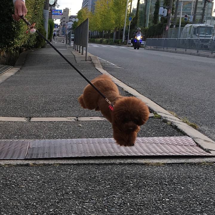 F61ee1f8 0d19 4c94 bf75 6fb22dbb7a48