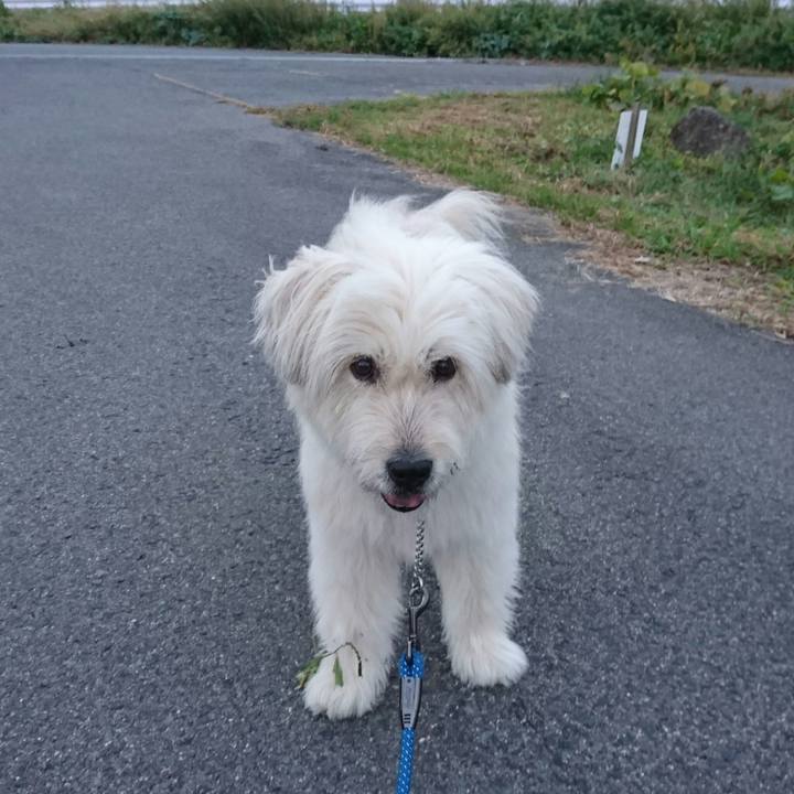 F61fe609 120d 4fdd 96fb 160378efc366