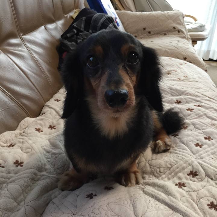 F621459d 2d0e 4d63 bbe3 518008e6e83a