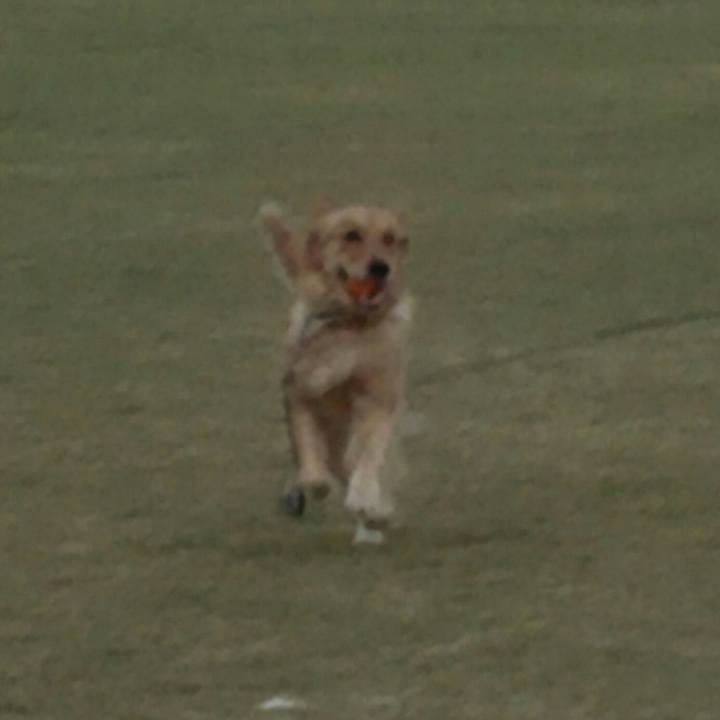 F621659e 71e8 4f05 b90d c30e04497afe