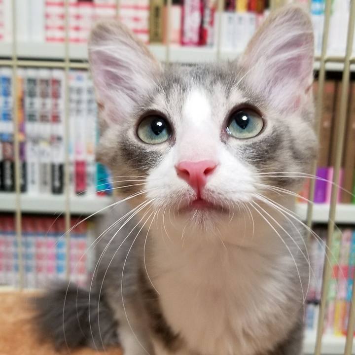 F621bcd1 b37b 4a8d afba 7ee27298c98a