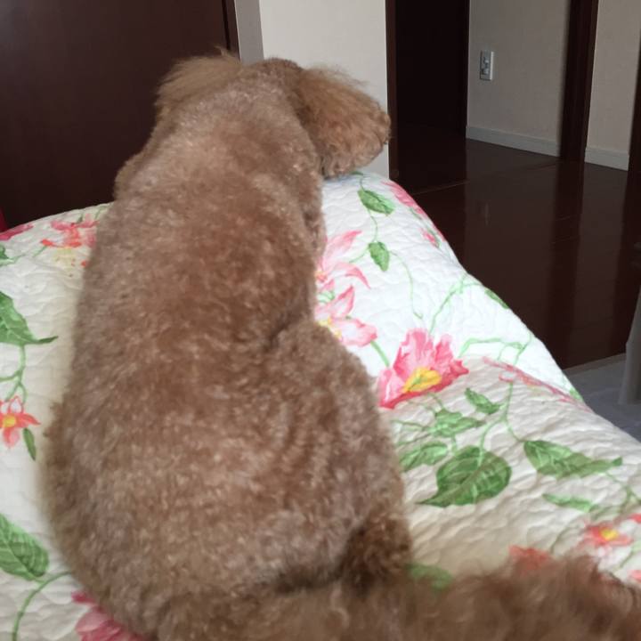 F621e840 7dea 4d02 9ca7 5b778b8ebaad