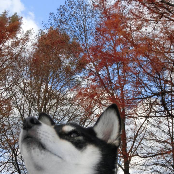 F6226064 bedc 44bd 8e72 68d0b4dab9f0