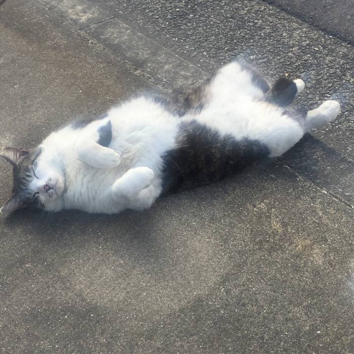 F6226cf7 9d99 44db bf1e 550a558d6f60