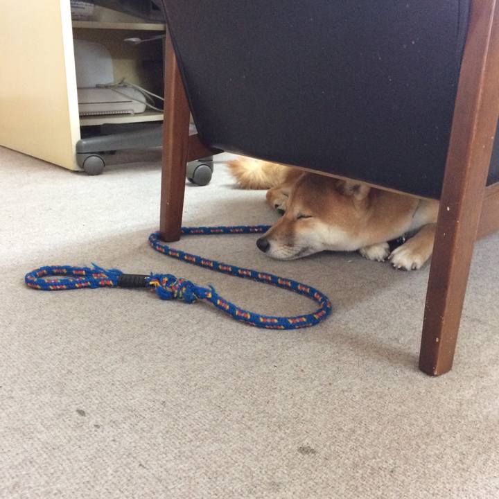 F622f068 55ca 4287 bd1e 459f8fe2bbec