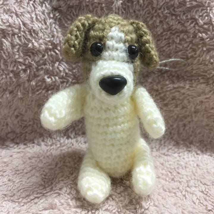 F6231a97 dfec 4cae bc9e 5ad86be8d1ba