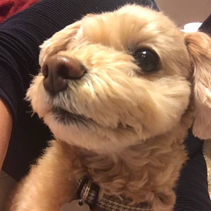 F62382d4 30c4 403c 871b e72b3c2a7f80