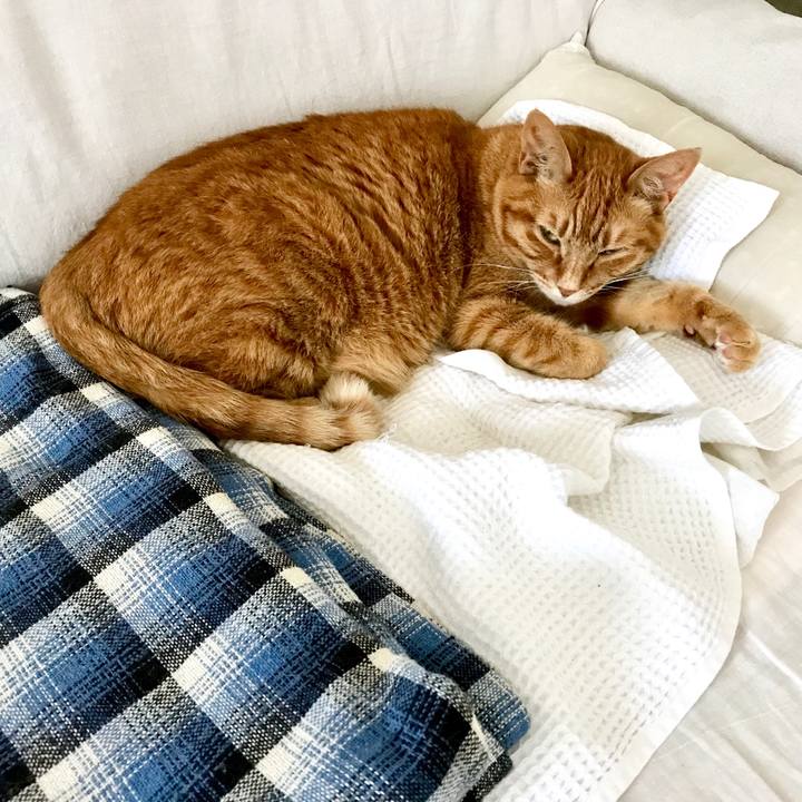 F6238997 83cd 4b30 b746 7b0ee5eb6f77