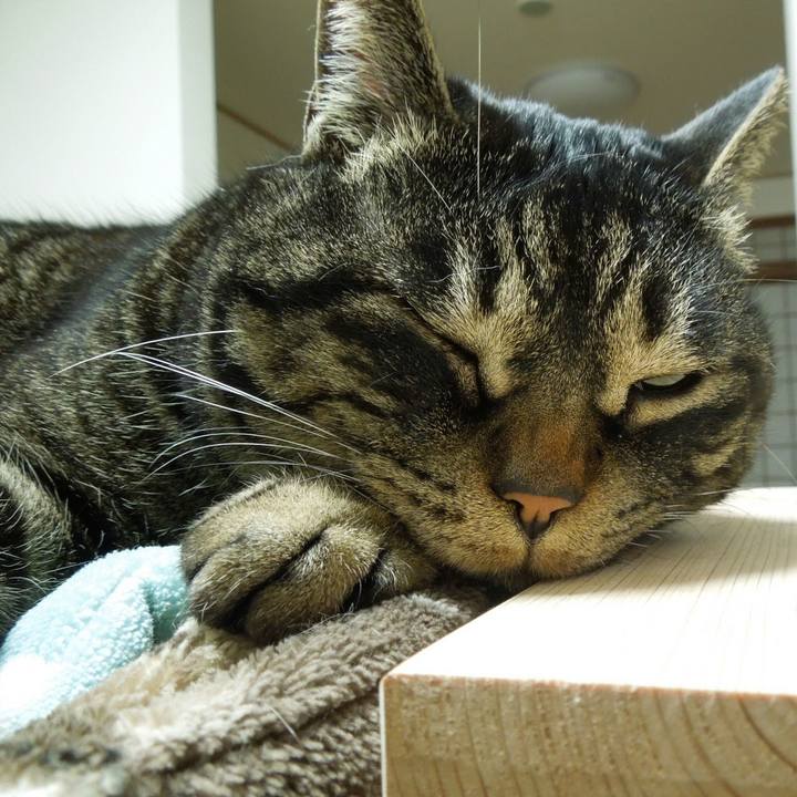 F623fd0a 5847 40bb 8079 6038bfcc1289