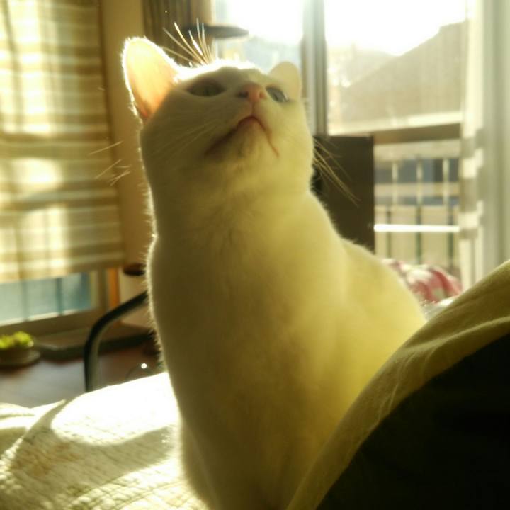 F6243135 6183 4bb0 a342 5b50c2896103