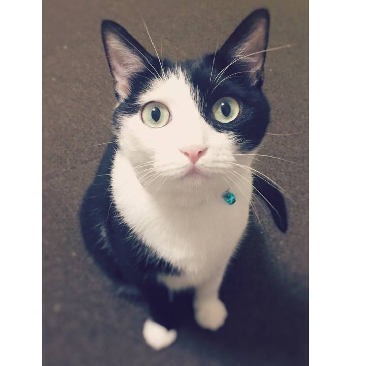 F625350a d7ca 4442 9771 219576aa6f45