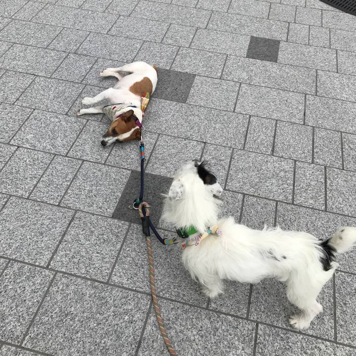 F6262fab ddc0 45c1 86c9 b40db1876fe6