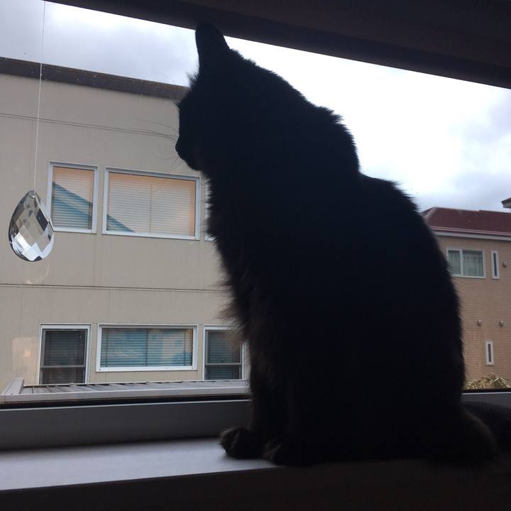 F6268738 5d69 4874 bf4c 7d85f08b9a9c