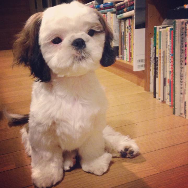 F626ea19 78f3 48cf b8a4 13d14556df36