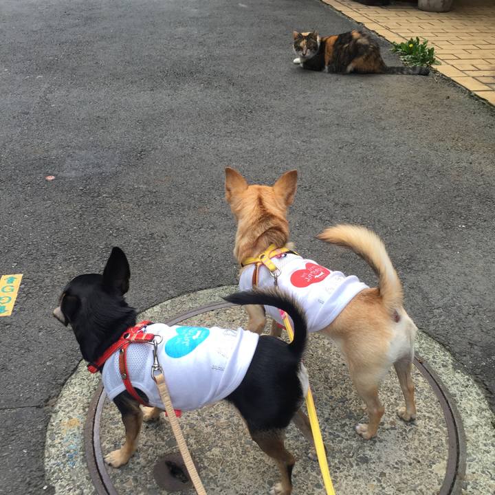 F62751b0 e5ca 4381 bbaa f44345b37889