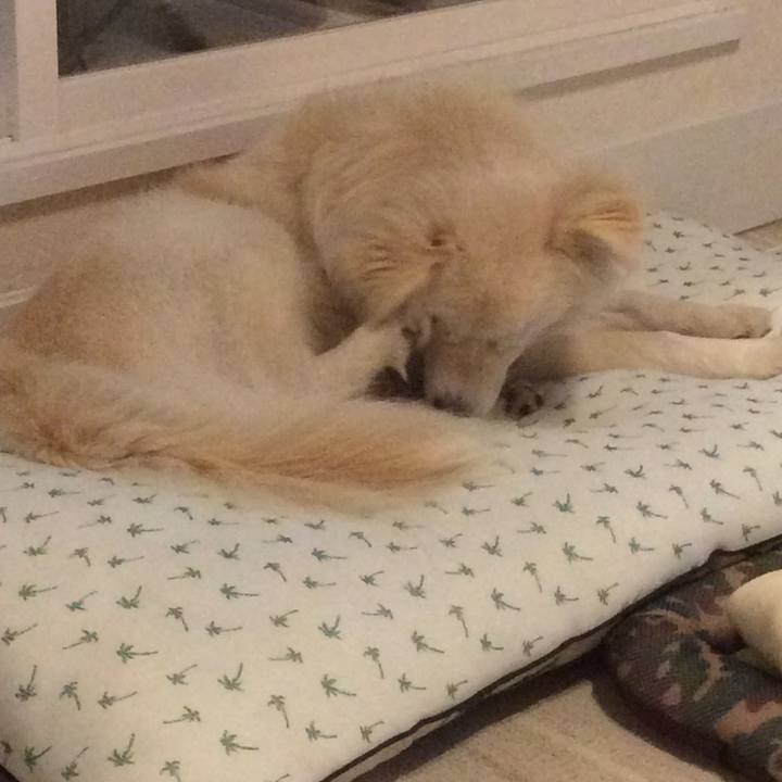 F62777f5 fa92 4e8b 8bd7 5c8a0cdd7ee2