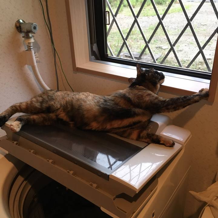 F627b2cd 45c3 439c 9c69 82f4a1e5c88f