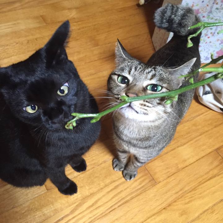 F6280716 2f69 40aa 9451 0ffad90ce0f7