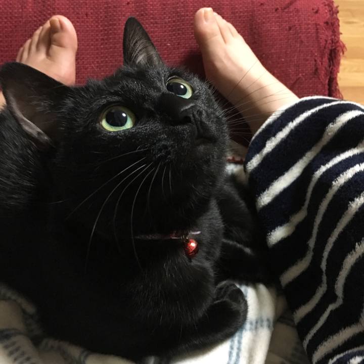 F628bfad bbb7 4dec a25f aba92b1facdc