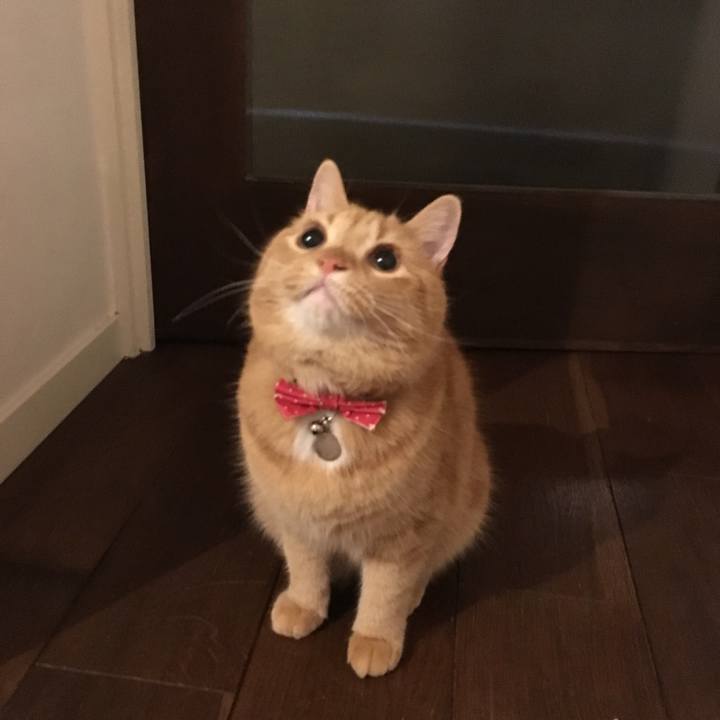 F628cb73 d3d0 493f ac03 3132e2d7b110