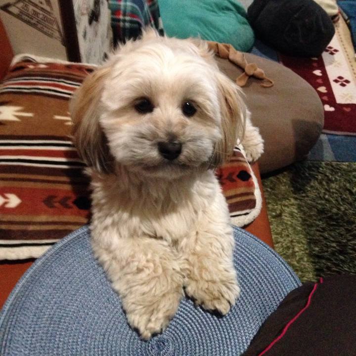 F6294f80 6606 4062 bcd1 947f89a2aaa0