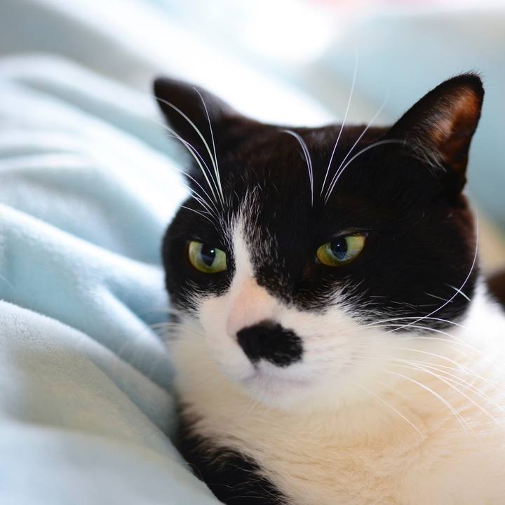 F6297279 387d 44ec 8fbc 329b2ef38d72