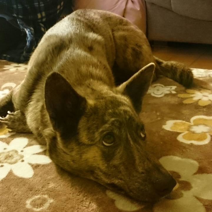 F629f16c e283 4530 8835 3628e6faac31