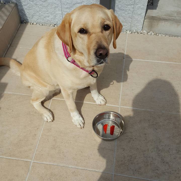 F62b2501 3321 46a4 ac35 c484f78bac24