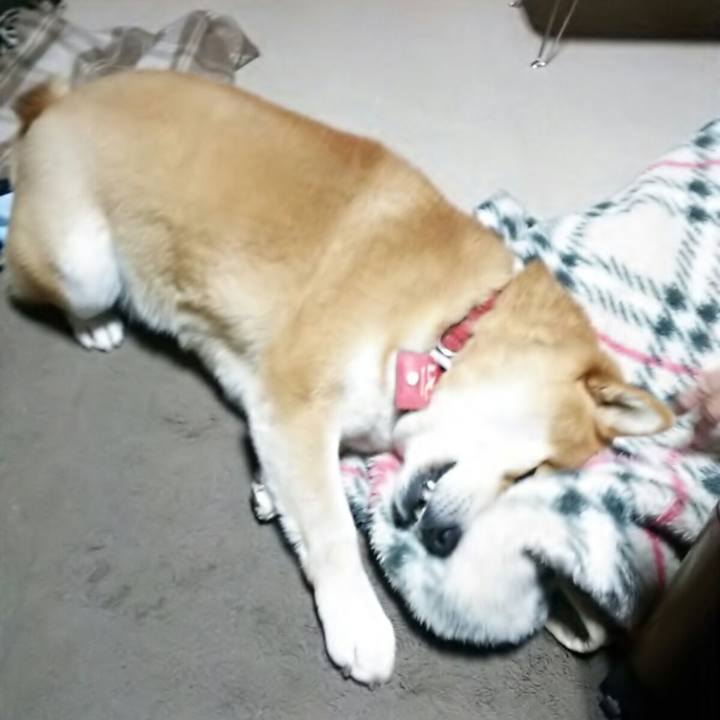 F62b4ed8 93b4 4d85 9016 0d7def02ae77