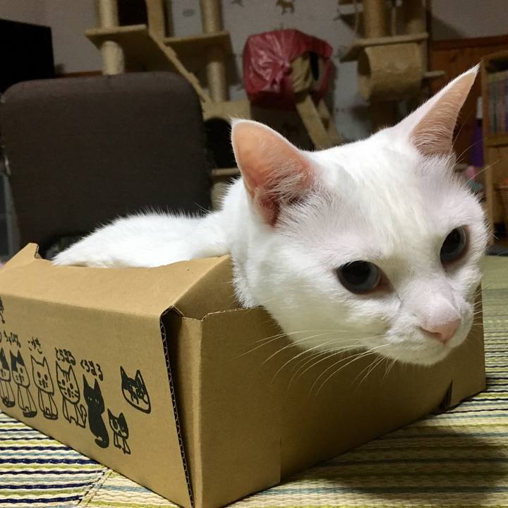 F62c2cf6 cf40 4f3e 82a5 40e8712edbf7