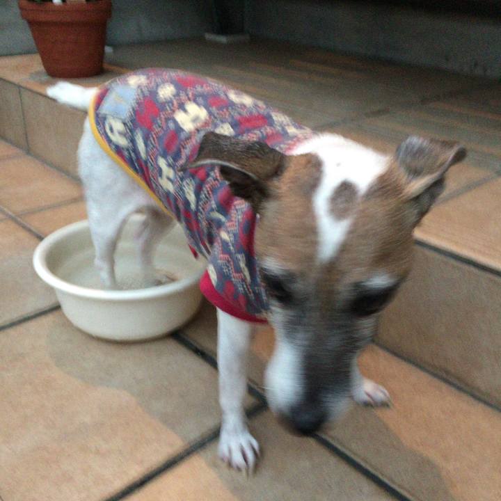 F62c57e2 349f 4683 9bea f06645d4fc69