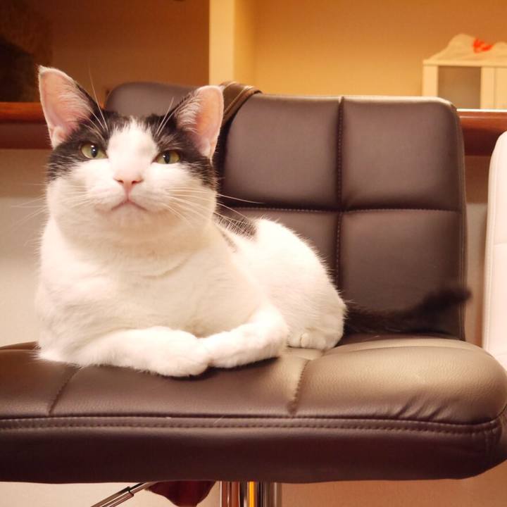 F62c8734 d842 45e4 aa72 c3b7cd9a164a