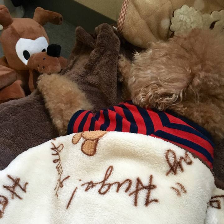 F62d4c1b 71b5 46e6 8359 5abdc4e2aabd