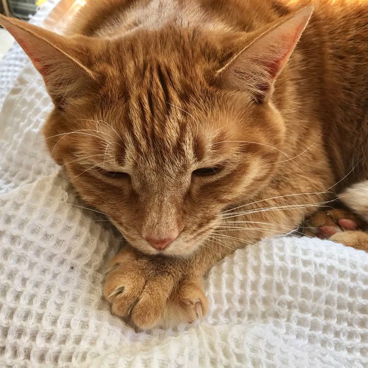 F62d5307 f331 4a0b a939 074002e96861