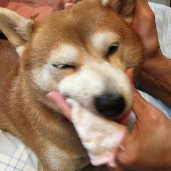 F62d9834 526c 4a6a 8495 55b253052fb6