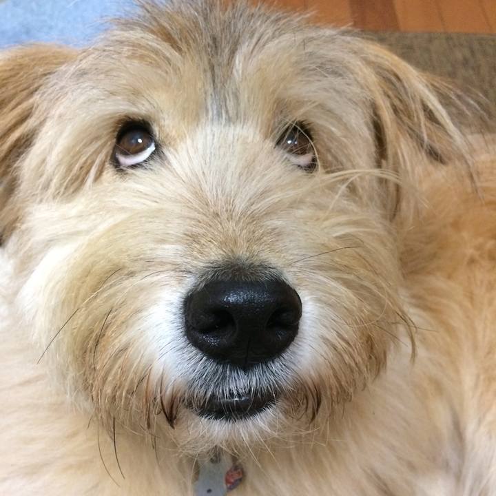 F62e0ba0 b373 4c0d b511 6250f003c468