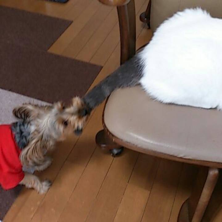 F62e61bc 15c7 4b1c b121 d57ef47b8510