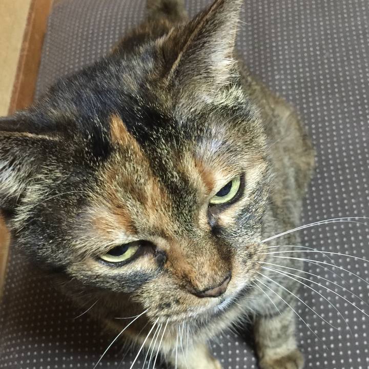 F62e6967 b6f0 4d76 961a c5f21bcda695