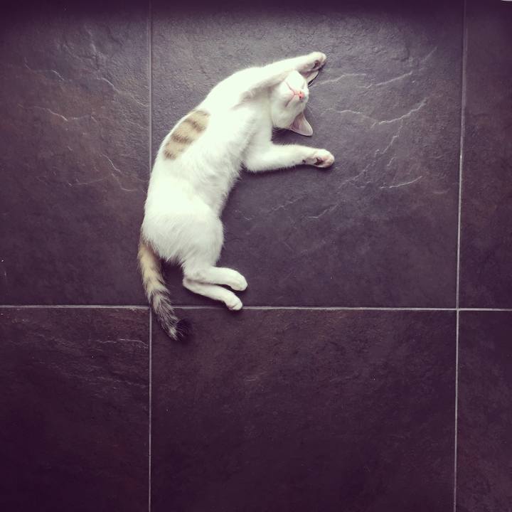 F62ed418 6e0c 44c9 a820 2ba723b8d919