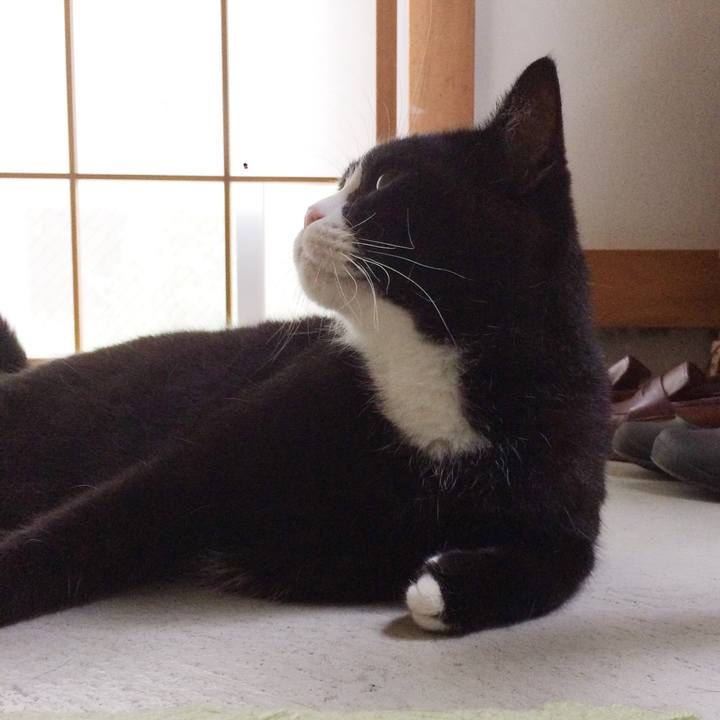 F62f81dc 4a0a 4d47 affc 64e453e509dc