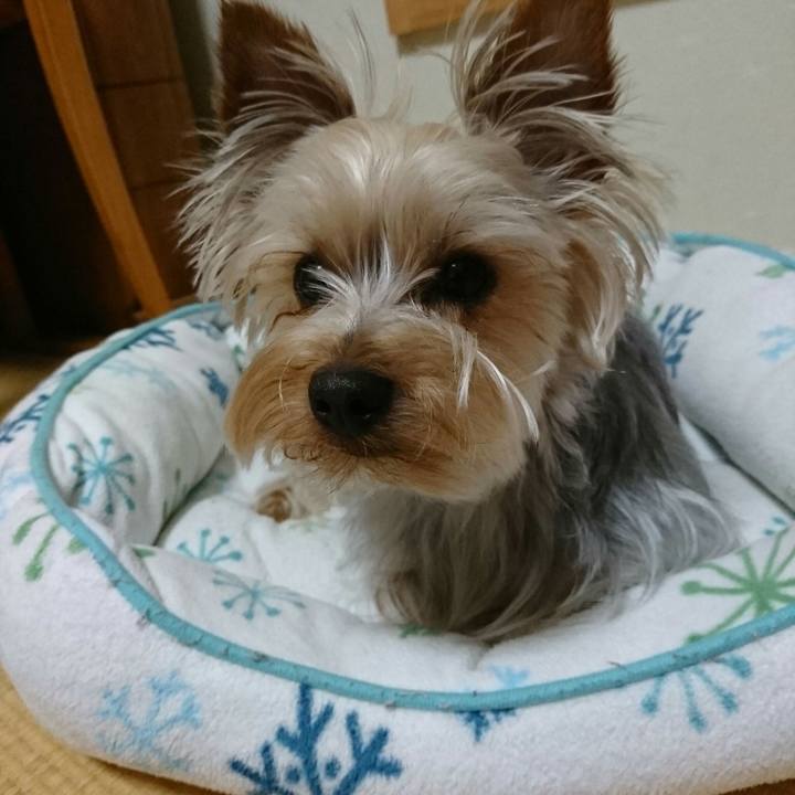 F630320c 74b7 4633 8b1f 6da699b7055a